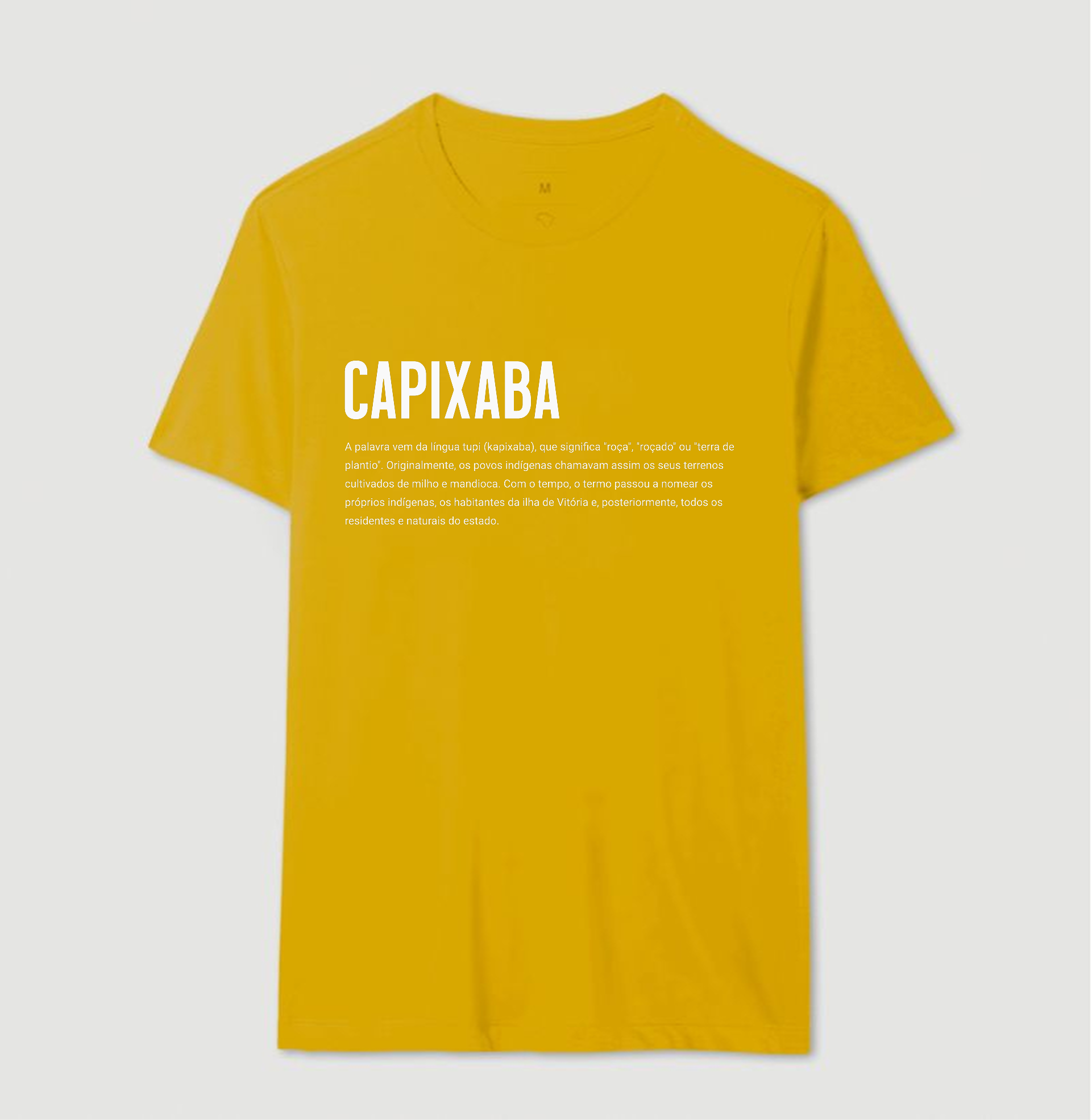 Camiseta | Termo Capixaba