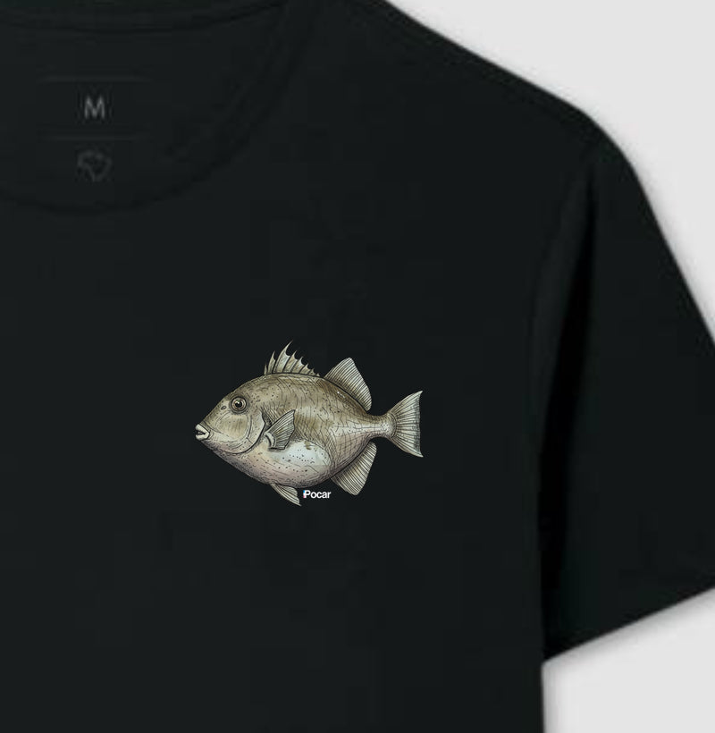 Camiseta | Peroá II